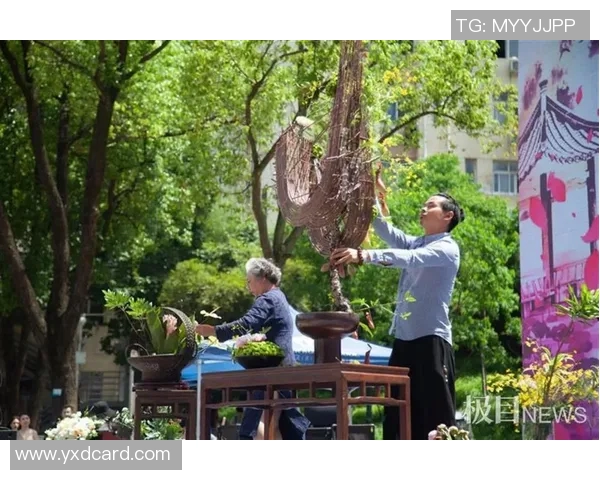 广州滑板队与武汉滑板队技术对比分析赛后复盘